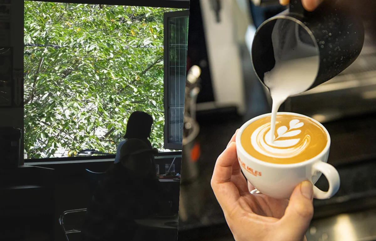 Original two-panel image of Blue Miles’ tree-facing windows and a barista pouring latte art in the Gongneung café.